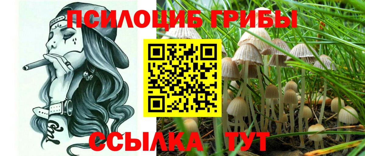 Псилоцибиновые грибы GOLDEN TEACHER  купить наркотики сайты  Гагарин  Вход с VPN 